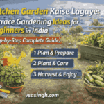 kitchen garden