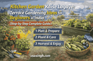 kitchen garden