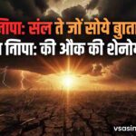 El Nino Alert 2026 image